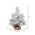 Vickerman 24" Frosted Beckett Pine Artificial Christmas Tree Unlit