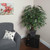 Vickerman 4' Artificial Mini Ficus Extra Full Bush Gray Round Plastic Container
