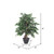 Vickerman 4' Artificial Mini Ficus Extra Full Bush Gray Round Plastic Container