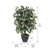 Vickerman 4' Artificial Capensia Bush Gray Round Plastic Container