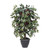 Vickerman 4' Artificial Capensia Bush Gray Round Plastic Container