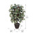 Vickerman 4' Artificial Capensia Bush Brown Plastic Container