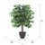 Vickerman 4' Artificial Ficus Bush Round Gray Plastic Container