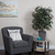 Vickerman 4' Artificial Capensia Bush Gray Square Plastic Container