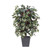 Vickerman 4' Artificial Capensia Bush Gray Square Plastic Container
