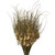 Vickerman 26" Natural Tulip Star 16oz (4 -4oz Bundles) Dried