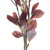 Vickerman 25.5" Burgundy Artificial Primrose Flower Spray 3 per bag