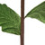 Vickerman 22" Purple Velvet Glitter Trim Poinsettia 6 per bag