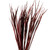 Vickerman 28" Red Splinter Grass 11 oz Bundle Dried