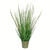 Vickerman 34" Artificial Potted Green Reed Grass