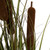 Vickerman 36" Artificial Potted Green Grass with Cattails in Iron Pot