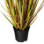 Vickerman 24" PVC Artificial Potted Mixed Brown Grass