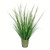 Vickerman 28" Artificial Potted Green Reed Grass