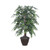 Vickerman 4' Artificial Green Smilax Bush Brown Plastic Container