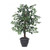 Vickerman 4' Artificial Variegated Ficus Bush Gray Round Plastic Container