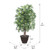 Vickerman 4' Artificial Japanese Maple Bush Brown Plastic Container