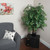 TXX0640-06 Vickerman - 4 in Dark Green Ming Aralia Artificial Bush
