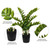 TB170901 Vickerman - 28 in Green Zamifolia Artificial Bush - Potted