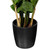 TB170901 Vickerman - 28 in Green Zamifolia Artificial Bush - Potted