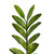 TB170903 Vickerman - 43 in Green Zamifolia Artificial Bush - Potted