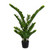 TB170903 Vickerman - 43 in Green Zamifolia Artificial Bush - Potted
