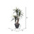 TXX1140-RG Vickerman - 4 ft Dark Green Marginata Artificial Bush
