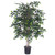 Vickerman 4' Artificial Minil Ficus Bush Black Plastic Pot
