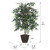 Vickerman 4' Artificial Mini Ficus Bush Brown Plastic Container