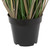 Vickerman 48" Artificial Potted Green Curled Grass