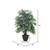 Vickerman 4' Artificial Green Smilax Extra Full Bush Brown Plastic Container