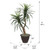 TBU1140-RB Vickerman - 4 ft Dark Green Marginata Artificial Bush