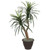 TBU1140-RB Vickerman - 4 ft Dark Green Marginata Artificial Bush