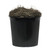 TBU2840-06 Vickerman - 4 ft Green Mango Artificial Bush