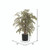 Vickerman 4' Artificial Variegated Smilax Extra Full Bush Black Plastic Pot