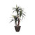 Vickerman 4' Artificial Marginata Extra Full Bush Brown Plastic Container