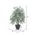 Vickerman 4' Artificial Variegated Smilax Extra Full Bush Gray Round Plastic Container