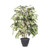 Vickerman 4' Artificial Frosted Maple Bush Gray Round Plastic Container