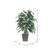 Vickerman 4' Artificial Mango Bush Brown Square Plastic Container