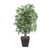 Vickerman 4' Artificial Japanese Maple Bush Square Willow Basket