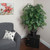 TXX0640 Vickerman - 4 ft Dark Green Ming Aralia Artificial Bush