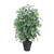Vickerman 4' Artificial Ming Aralia Extra Full Bush Rattan Basket