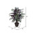Vickerman 4' Artificial Capensia Extra Full Bush Brown Plastic Container