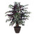 Vickerman 4' Artificial Capensia Extra Full Bush Brown Plastic Container