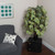 Vickerman 4' Artificial Frosted Maple Extra Full Bush Black Plastic Pot