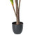 Vickerman 60" Artificial Real Touch Dracaena