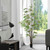 Vickerman 6' Artificial Potted Black Japanese Bamboo Tree