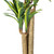 Vickerman 52" Artificial Potted Green and Yellow Real Touch Dracaena Tree