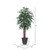 Vickerman 6' Artificial Mango Executive Tree Gray Round Plastic Container