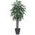 Vickerman 6' Artificial Mango Executive Tree Gray Round Plastic Container