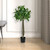 Vickerman 3' Artificial Potted Bay Leaf Topiary